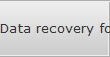 Data recovery for High Point data